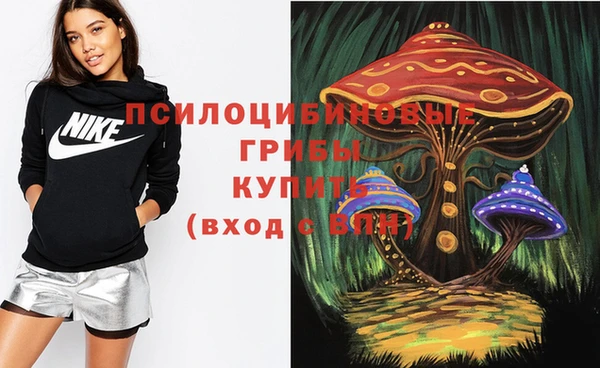 a pvp Аркадак