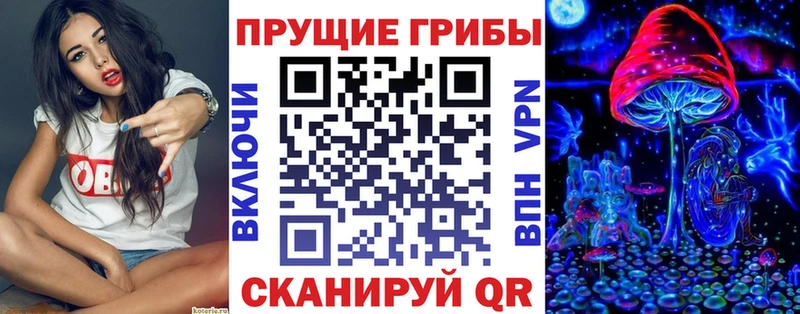 MEGA рабочий сайт  где можно купить наркотик  Певек  Галлюциногенные грибы Psilocybine cubensis 
